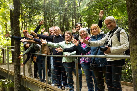 All Inclusive Blue Mountains Small-Group Day Trip From Sydney - Accommodation Noosa 30