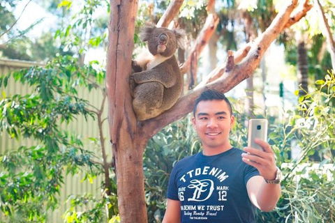All Inclusive Full-Day Blue Mountains Trip From Sydney - Accommodation Noosa 1