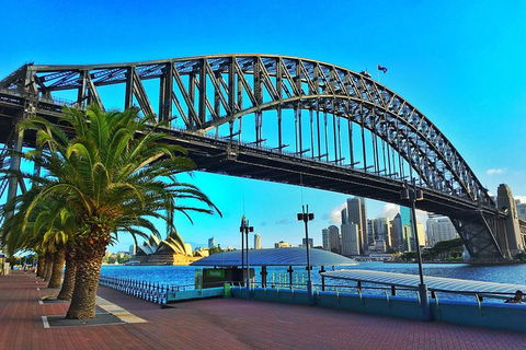 Half Day In Sydney With A Local: Private & Personalized - Accommodation Noosa 10