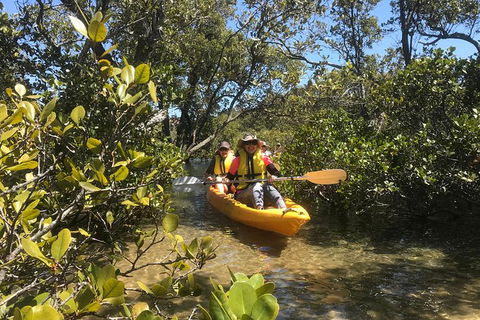 Paddle In Paradise - 4 Hours Double Kayak Hire - Accommodation Noosa 1