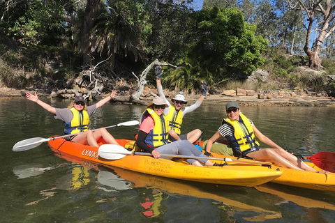 Paddle In Paradise - 4 Hours Double Kayak Hire - Accommodation Noosa 2