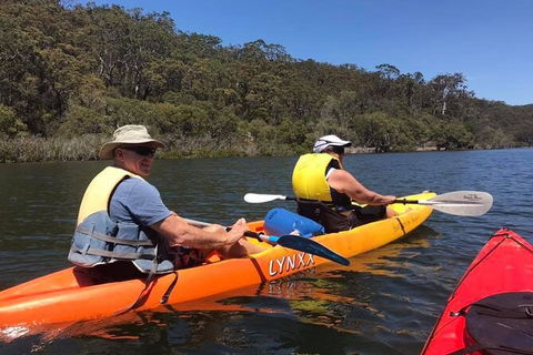 Paddle In Paradise - 4 Hours Double Kayak Hire - Accommodation Noosa 4