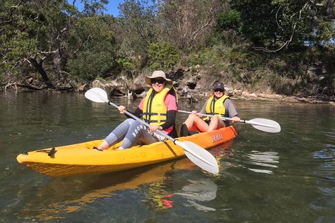 Paddle In Paradise - 4 Hours Double Kayak Hire - Accommodation Noosa 6