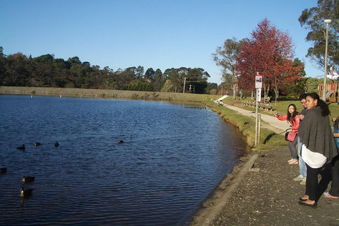 All-Day Blue Mountains Private Tour With Professional Guide For Up To 4 People - Accommodation Noosa 24