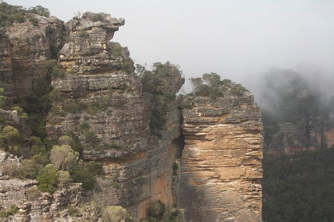 All-Day Blue Mountains Private Tour With Professional Guide For Up To 4 People - Accommodation Noosa 11