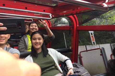 All-Day Blue Mountains Private Tour With Professional Guide For Up To 4 People - Accommodation Noosa 15