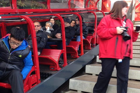 All-Day Blue Mountains Private Tour With Professional Guide For Up To 4 People - Accommodation Noosa 8
