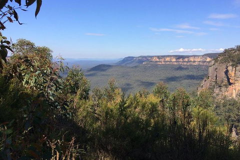 All-Day Blue Mountains Private Tour With Professional Guide For Up To 4 People - Accommodation Noosa 4