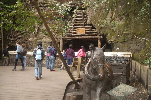 All-Day Blue Mountains Private Tour With Professional Guide For Up To 4 People - Accommodation Noosa 9