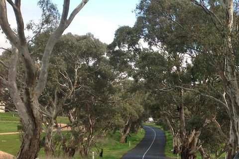 All-Day Blue Mountains Private Tour With Professional Guide For Up To 4 People - Accommodation Noosa 22
