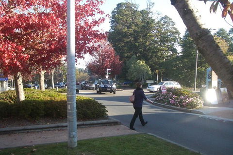 All-Day Blue Mountains Private Tour With Professional Guide For Up To 4 People - Accommodation Noosa 12