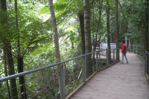 All-Day Blue Mountains Private Tour With Professional Guide For Up To 4 People - Accommodation Noosa 20