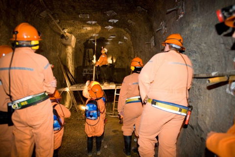 14 Day Dinos, Crocs And Gold - Accommodation Noosa 3