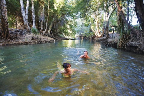 14 Day Dinos, Crocs And Gold - Accommodation Noosa 6