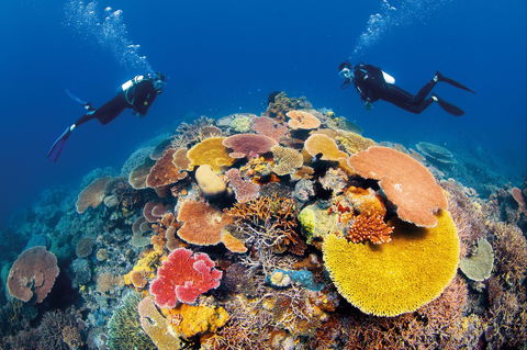 Agincourt Reef - Accommodation Noosa 0