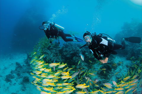 Agincourt Reef - Accommodation Noosa 2