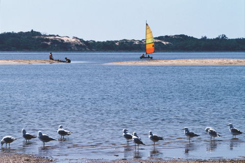 Australind - Accommodation Noosa 0