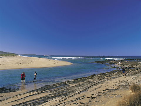 Burrill Lake - Accommodation Noosa 0
