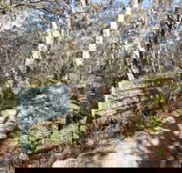 Cascades walking track and viewing platform - Accommodation Noosa