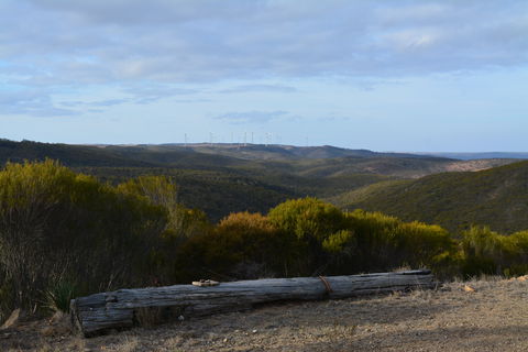 Cleve Hills Scenic Drive & Lookout - Accommodation Noosa 0