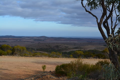 Cleve Hills Scenic Drive & Lookout - Accommodation Noosa 1