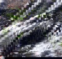 Darkes Forest - Accommodation Noosa