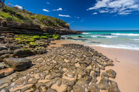 Dawsons Island Beach - Accommodation Noosa 0