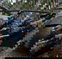 Delta Force Paintball Appin - Accommodation Noosa