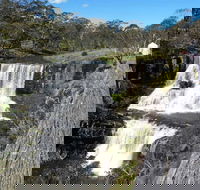 Ebor Falls - Accommodation Noosa