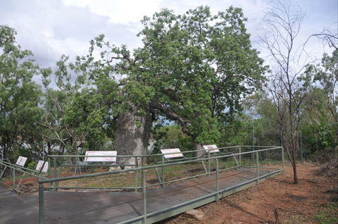 Gregory's Tree, Timber Creek - Accommodation Noosa 1