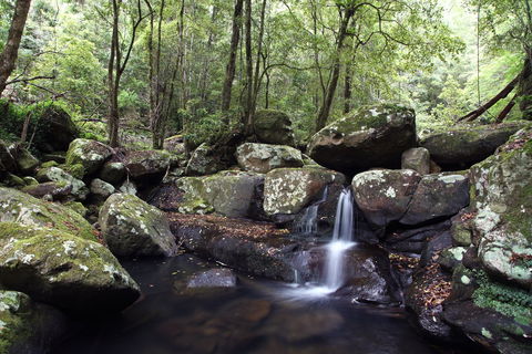 Kangaroo River - Accommodation Noosa 0