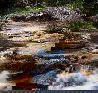 Mothar Mountain Rockpools - Accommodation Noosa