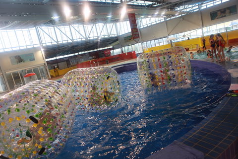 Oasis Regional Aquatic Centre - Accommodation Noosa 0
