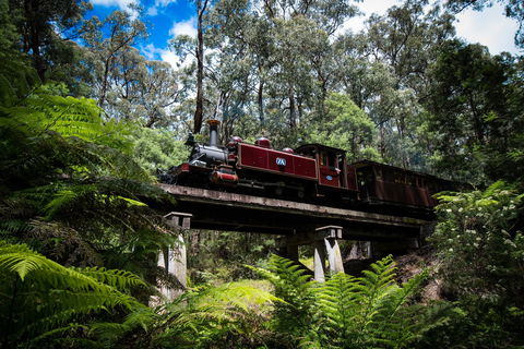 Puffing Billy Railway - Accommodation Noosa 0