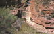 Ross Graham Lookout - thumb 0