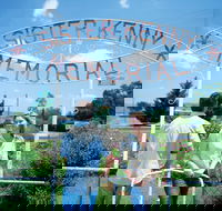 Sister Kenny Memorial Nobby - Accommodation Noosa