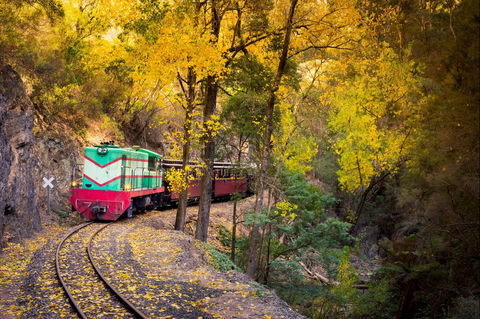 Walhalla Goldfields Railway - Accommodation Noosa 2