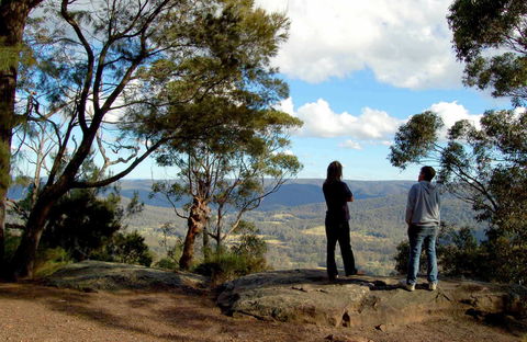 Watagans National Park - Accommodation Noosa 1