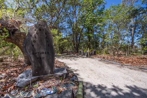 Bribie Island Bicentennial Trails - Accommodation Noosa 2