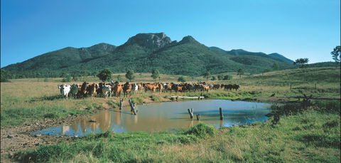 Bundaberg- Biggenden- Mount Perry Circle - Accommodation Noosa 0