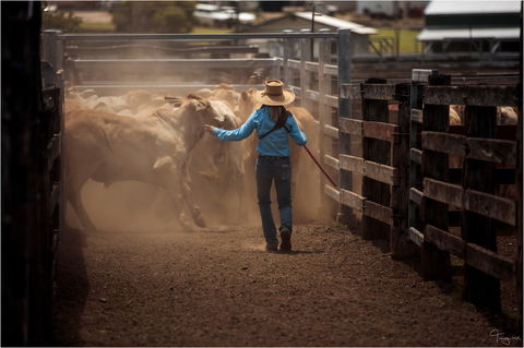 Bundaberg- Biggenden- Mount Perry Circle - Accommodation Noosa 1