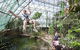 Cairns ZOOM And Wildlife Dome - thumb 0