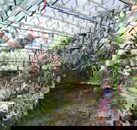 Cairns ZOOM and Wildlife Dome - Accommodation Noosa