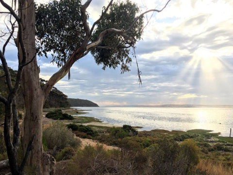 Fish Cannery Walking Trail - Accommodation Noosa 0
