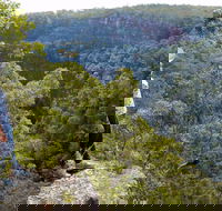 Glenbrook Gorge Track - Accommodation Noosa
