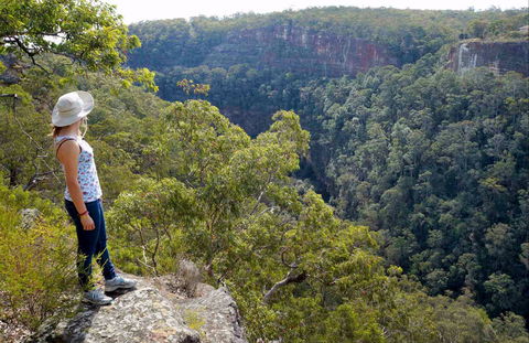 Glenbrook Gorge Track - Accommodation Noosa 0