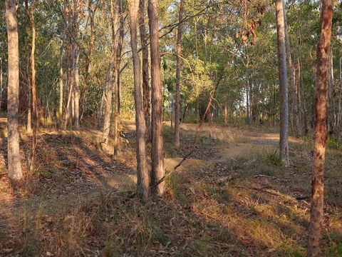 Grande Park - Accommodation Noosa 2