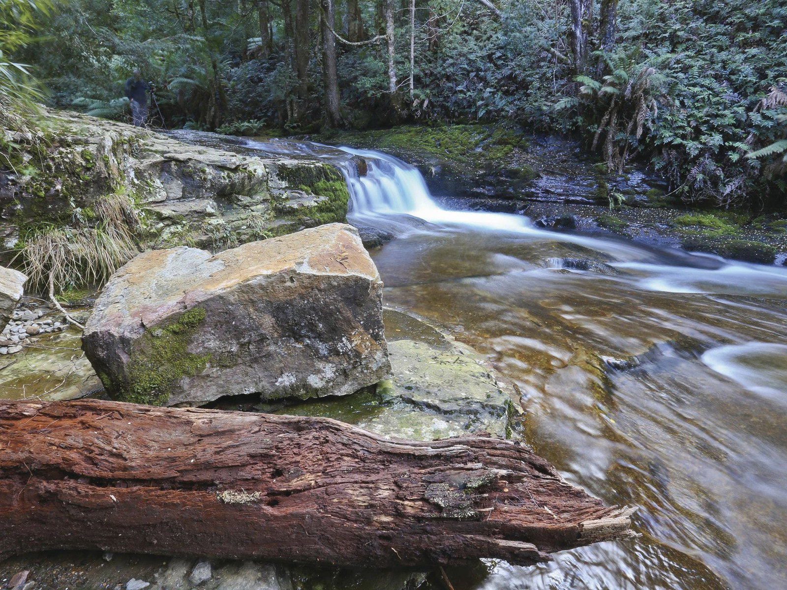 Liffey TAS Accommodation Noosa