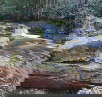 Liffey Falls Reserve - Accommodation Noosa