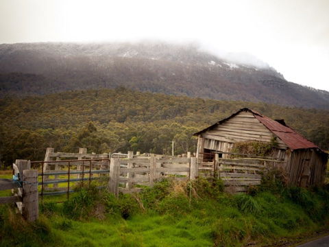Liffey Falls Reserve - Accommodation Noosa 2